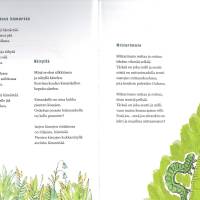 Taivasta hipoo hännänpää