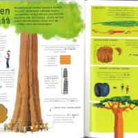 Kuinka suuri on suuri?