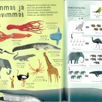 Kuinka suuri on suuri?